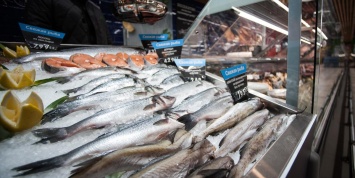 Россиян предупредили о возможном дефиците рыбы