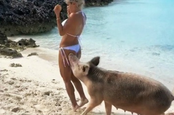 Свинья укусила за мягкое место спортсменку из Венесуэлы Мишель Левин
