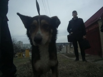 В Харькове из-за таинственных обстоятельств пострадали пенсионерка и ее пес (фото)