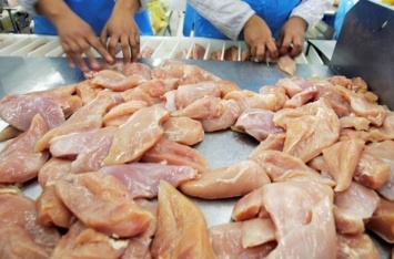 Украина резко нарастила экспорт курятины