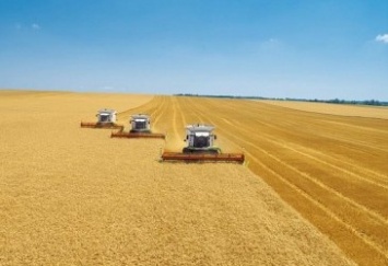 Госстат подтвердил рекордный урожай зерновых в Украине