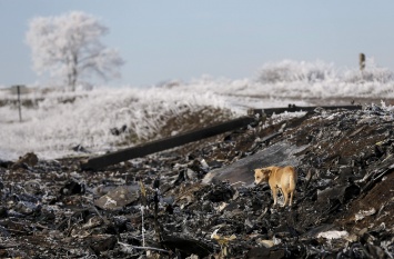 Россия приняла участие в переговорах по катастрофе MH17 над Донбассом