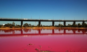 Озеро в Мельбурне стало розового цвета