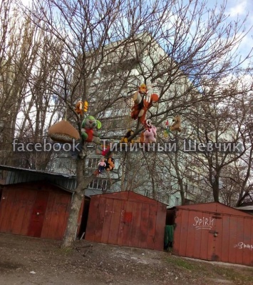 В Запорожье горожане заметили необычное дерево (ФОТО)