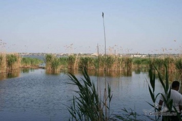 С апреля в Одесской области запрещено ловить рыбу
