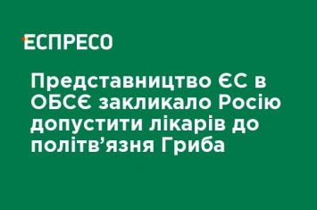 Представительство ЕС в ОБСЕ призвало Россию допустить врачей к политзаключенному Грибу