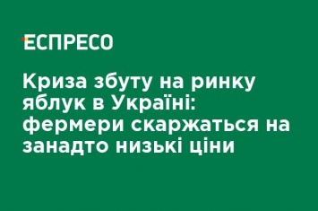 Кризис сбыта на рынке яблок в Украине: фермеры жалуются на слишком низкие цены