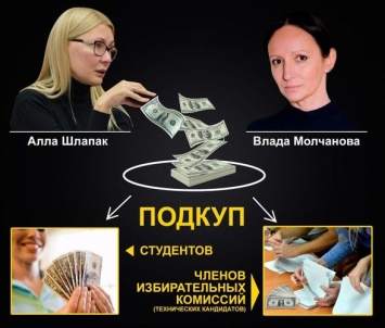 Шлапак и Молчанова продолжают безнаказанно готовить сетку подкупа для Тимошенко, - блогер