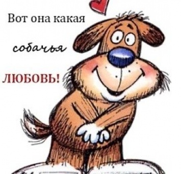 Харьковчан пугают любовные утехи собак