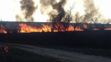 В Николаеве и вокруг города массово горит сухая трава и камыш