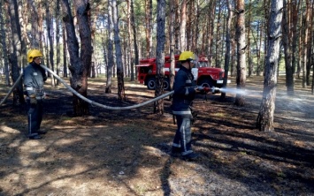 За прошедшие сутки ликвидировано 6 пожаров в экосистемах области
