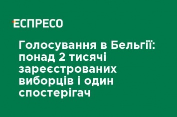 Голосование в Бельгии: более 2000 зарегистрированных избирателей и один наблюдатель