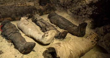 В Египте археологи откопали мумию пришельца