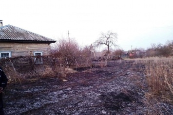 Неизвестные избили пожарных, приехавших тушить сухую траву в Черниговской области