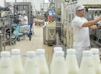 На Полтавщине построят первый в Украине кооперативный молокозавод