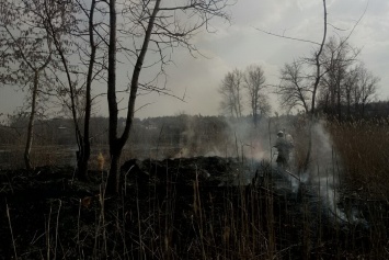 Под Харьковом полыхает трава, сгорели дома и сеновал (фото)