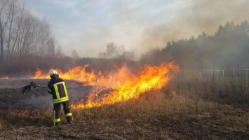 Пока горящая трава "спасает" украинское кино, поджигателям уготовили штрафы до 40 тысяч гривен