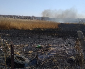 В парке Победы подожгли сухую траву