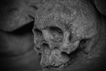Ученые обнаружили окаменелость денисовского черепа