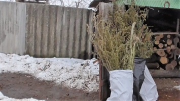 На Николаевщине 8 лет грозит мужчине, который хранил дома наркотики и гранату