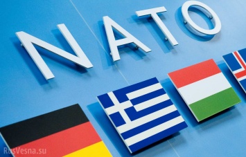 В НАТО определились со своим будущим в трех вариантах