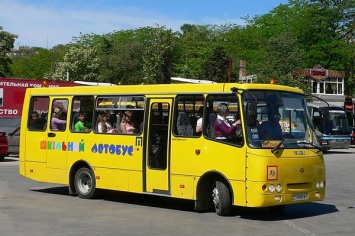 Кабмин дал регионам 500 млн грн на школьные автобусы и спецтранспорт
