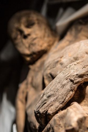 «Ходячие трупы в прямом эфире: Вскрытие 4600-летней гробницы в Египте может выпустить наружу пришельцев-мутантов