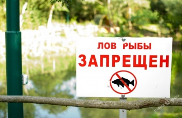 На водоемах в Одесской области вводится «период тишины»