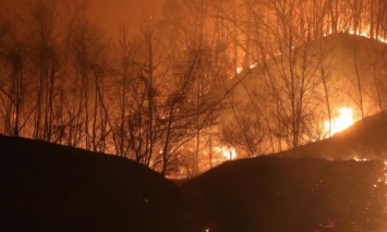 В Южной Корее объявили чрезвычайное положение из-за масштабного лесного пожара