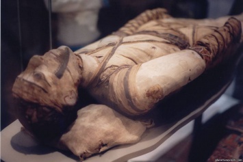 Археологи обнаружили десятки мумий в древней гробнице: "сенсационная находка"