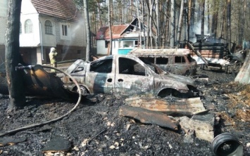 На Житомирщине погибли супруги, сжигавшие траву возле своего дома