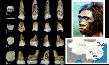 В Китае нашли зубы неизвестного предка человека