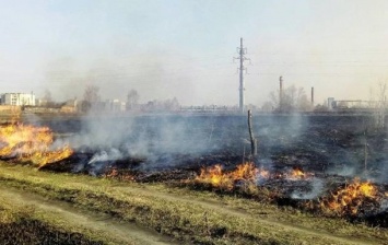 В Черниговской области за сутки произошло 86 пожаров