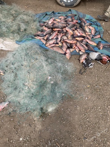 Под Одессой задержаны рыбаки-браконьеры с 50-ю сетями (фото)