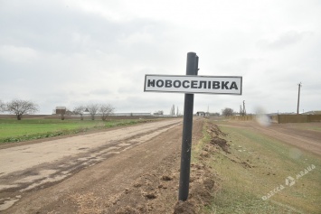 Реорганизация или рейдерский захват: что происходит вокруг сельхозкомбината в Одесской области