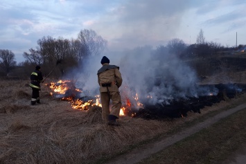 Под Харьковом при пожаре из-за вспыхнувшей травы погиб человек