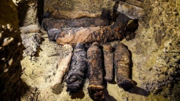 Археолог дотронулся к мумии жреца бога магии: страшные последствия попали на видео