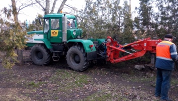 В Заводском районе Николаева выкорчевывают пни