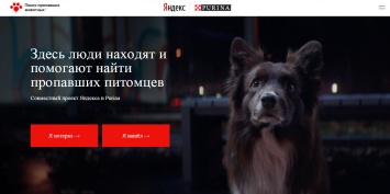 В России запустили сервис по поиску пропавших животных