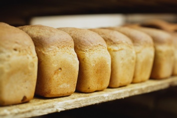 Тысячу выброшенных буханок хлеба нашли на международной трассе: «такое видят впервые»
