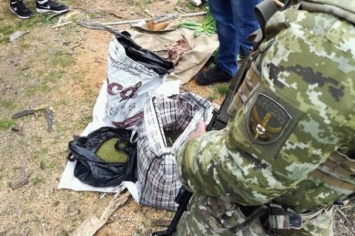 Погранслужба нанесла удары по наркомафии в Одессе и Бердянске