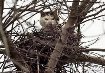 Отчаянное семейство забралось в чужой дом и пыталось выгнать хозяев: казусное происшествие в Харькове (видео)