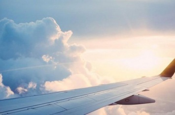 Как не платить за багаж в самолете: найден способ сэкономить