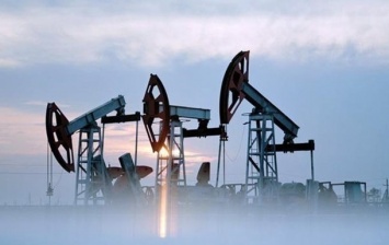 Цены на нефть начали опускаться после подъема