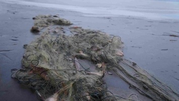 Сотрудники Нацпарка провели рейд - из моря вытащили 11 километров браконьерских сетей, - ФОТО