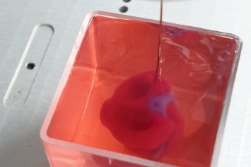 Мировой прорыв: в Израиле ученым удалось напечатать сердце человека на 3D-принтере