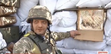''Мы на высоте!'' Бойцы ВСУ похвастались отвоеванной зоной под Донецком
