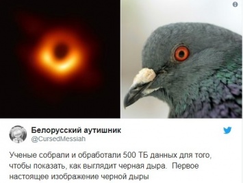 На первое фото черной дыры сетяне отреагировали шутками и мемами