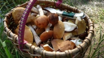 Жительница Запорожской области отравилась грибами
