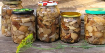 Жительница Запорожской области отравилась грибами собственного приготовления